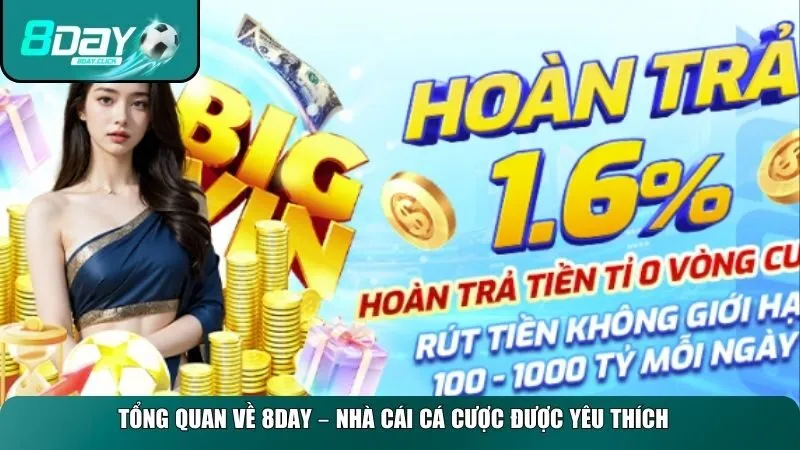 Thông tin cược tổng quan về 8DAY